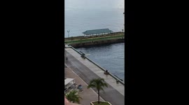 Carnival Victory - Cruise Ship Passenger Misses Ship