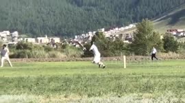 Mongolian cricketer falls into embankment trying to stop a four