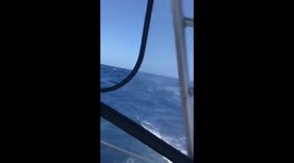 Rescue from Sinking Ship