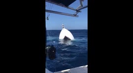Rescue from Sinking Ship part 2