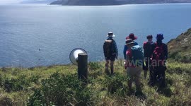 Concrete gannet colony on Mana Island, New Zealand, sounds of gannets from solar powered sound system used to attract real gannets