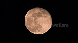 Blue Moon UK 2018