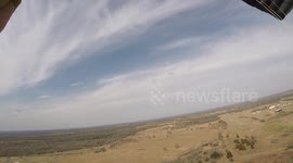 Skydiver scares the hell out of cows on landing