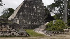 Tikal ballcourt and howler monkeys