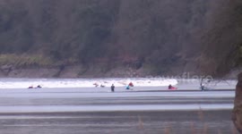 4-star Severn Bore at Newnham-on-Severn 2Feb 2018