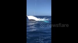 Fishermen rescue crew from sinking boat in Caribbean