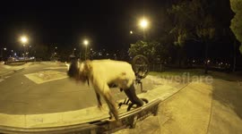 Guy on BMX lands VERY painfully with his face during stunt \ faceplant