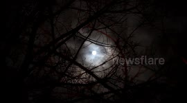 Luna moon