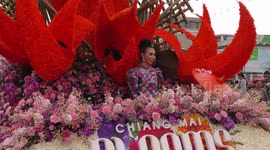 Colourful flower festival gets under way in Thailand