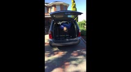 How Not to Get Out of a Car