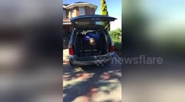 Newsflare Edit - How Not to Get Out of a Car