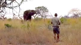 Anxious moments as safari tourists on foot are charged by elephant