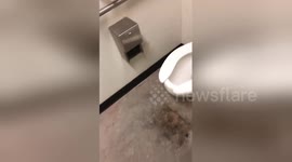 Newsflare Edit - Can't Poop Because Toilet is Frozen | Welcome to Canada