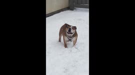 Darla wants to keep playing outside