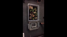 Centepede moves to something bigger