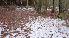 What to do if you forgot your spoon at home?