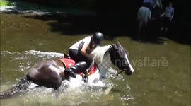 Poppy rolling in the river with Sophie