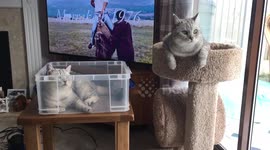 First class vs second class