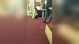 Newsflare Edit - Hoverboard fail