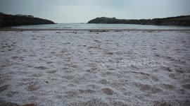 People and dogs walking and playing on snowy beach in Cornwall in a snowstorm