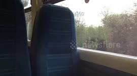 Train driver is a legend.