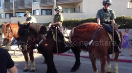 Animals at Work - Horse Patrol - at the Beach
