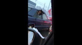 Doggo chillin on car window on snowy day