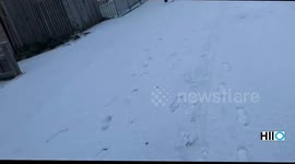 Snow in Scotland (edinburgh) 2018