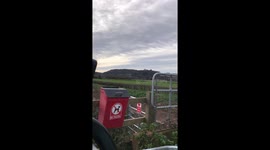 Dog fouling