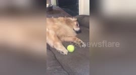 When you know you should go to the gym but really can't be bothered