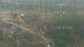 Stray leopard jumps off tree, mauls stick-wielding forest rangers, villagers and creates panic in Indian village; still at large