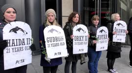 PETA activist protest during Thomas Cook Annual General Meeting in London