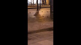 Central Paris' 'rat invasion' caught on camera