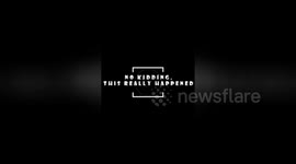 Newsflare Edit - Rescued Red Tail Hawk