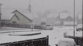 Beautiful Heavy Snow Falling Over N. Ireland - 9.02.2018