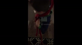 Tug war -Theo the 8week old vs Mason the 4yr old