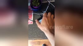 Newsflare Edit - Best Friend Prank wars