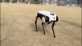 Chinese university unveils robot dog