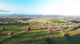 Aerial view of traditional italian landscape in Lazio near Rome