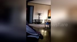 Newsflare Edit - Dog trips girl over (hilarious)