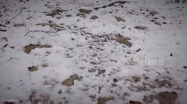 How to make filled bread in your Trangia Stove