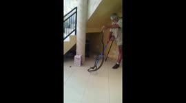 Snake catcher removes deadly two-metre black mamba from home