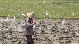 FARMERS AND SEWERS