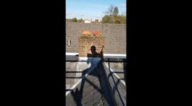 Builder loses the plot