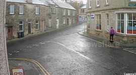 Dog runs away with sign from outside corner shop