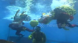 Aquarium holds dragon dance underwater for Chinese New Year celebrations