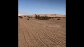 Wipe out