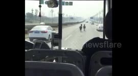 Horses run loose on busy motorway in China