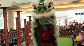 Amazing Barongsai at celebrating Chinese New Year in Indonesia