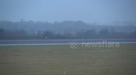 part of 'Fox on runway at Manchester Airport'